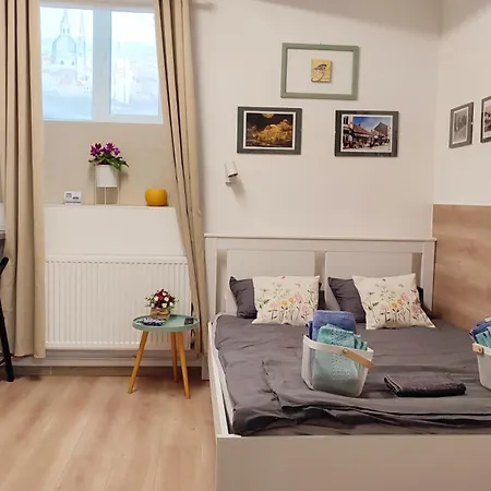 קלוז'-נאפוקה Republicii Small Central Studio מראה חיצוני תמונה
